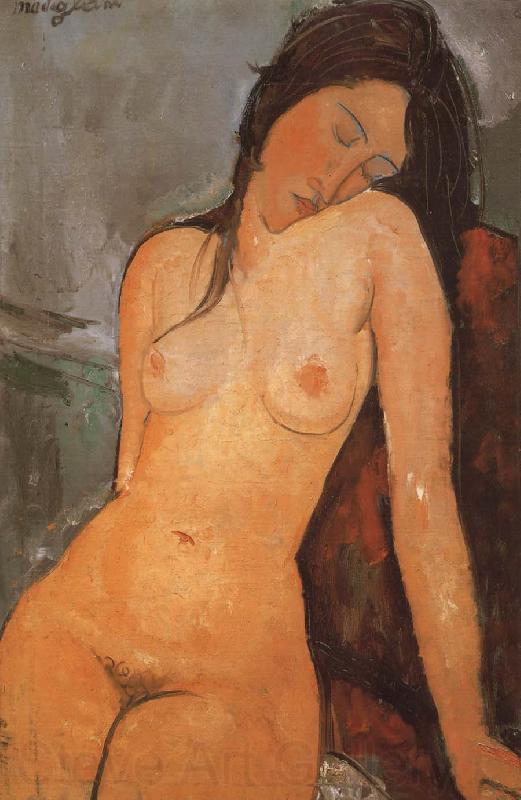 Amedeo Modigliani Seated Nude France oil painting art